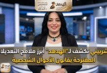 Gemini Generated Image dh9rtedh9rtedh9r الشربينى تكشف لـ"الهدهد" أبرز ملامح التعديلات المقترحة بقانون الأحوال الشخصية