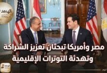 khargea وزيرا الخارجية المصري والأمريكي