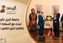 ChatGPT Image Jul 20 2026 07 58 33 PM جامعة النيل الأوروبية تبحث مع السفارة التركية بالقاهرة تعزيز التعاون الأكاديمي