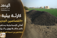 ChatGPT Image Aug 17 2026 10 28 54 AM كارثة بيئية بـ «القصاصين الجديدة».. أهالي الإسماعيلية يستغيثون بالمحافظ ووزير الزراعة لإنقاذهم من «سماد الصرف الصحي»