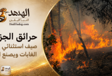 ChatGPT Image Aug 27 2026 11 37 54 PM حرائق الجزائر.. صيف استثنائي يشعل الغابات ويصنع الكارثة